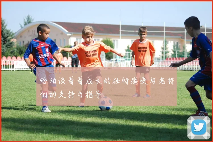 哈珀谈哥哥成长的独特感受与老将们的支持与指导